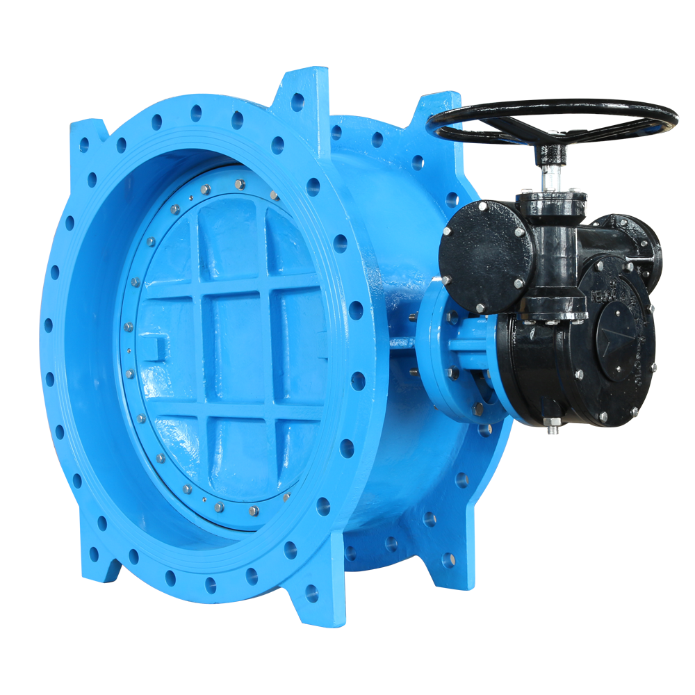 Double offset butterfly valve