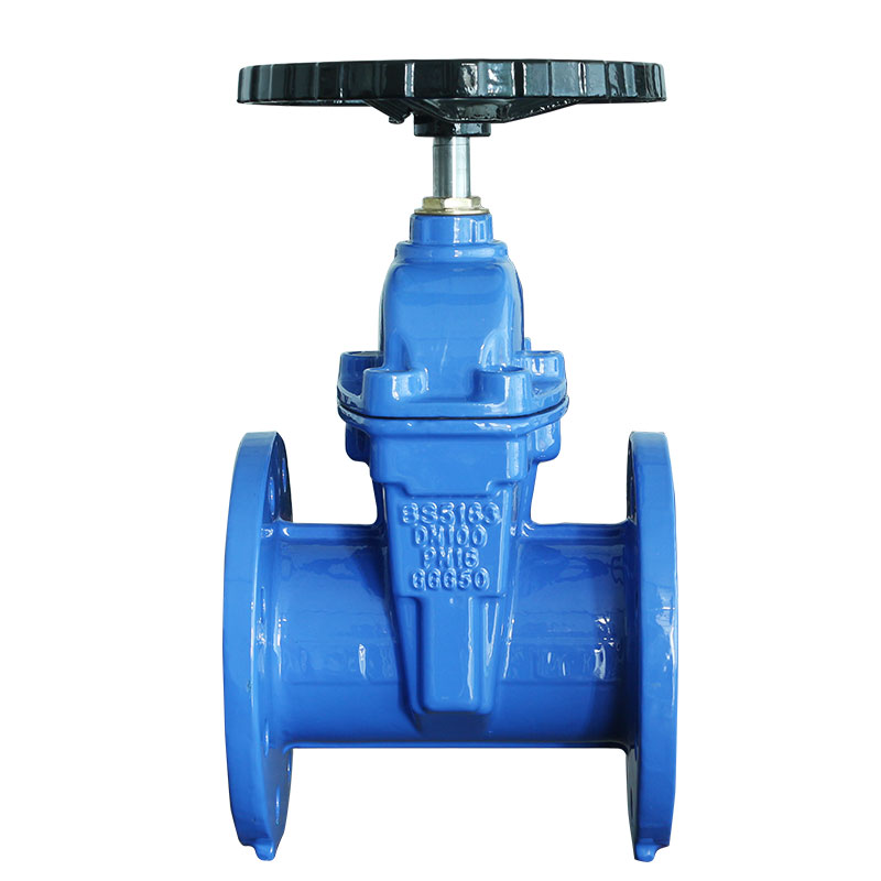 DN 100 GGG50 PN 16 flange gate valve