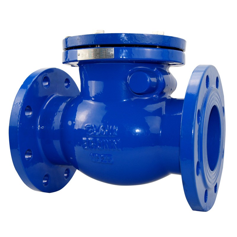 BS5163 flanged end swing check valve