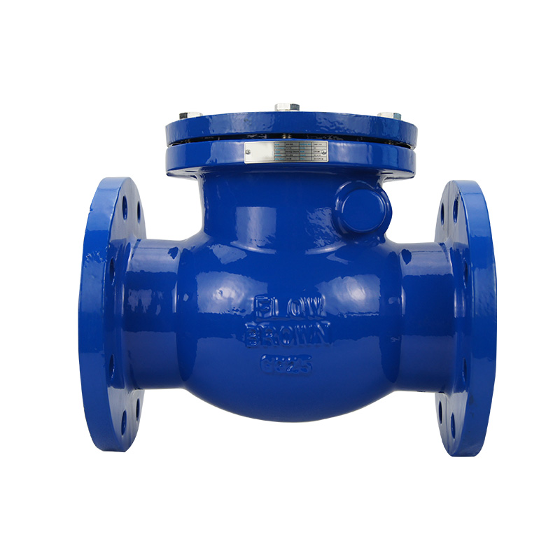BS5163 flanged end swing check valve - Image 2