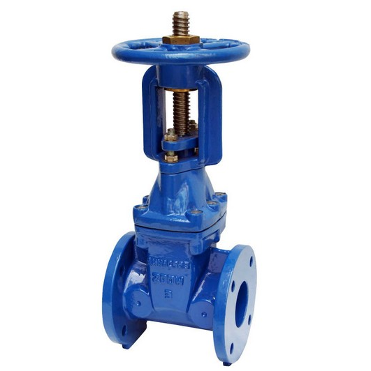 Resilient Seat Rising Stem Gate Valve