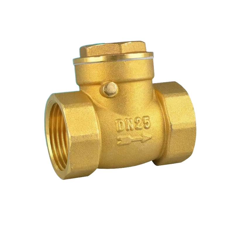Brass check valve
